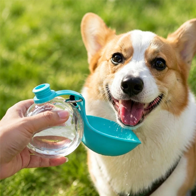 Botella portatil para perros